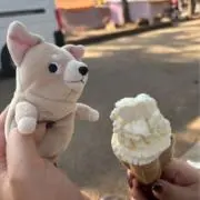 信仰未満の画像