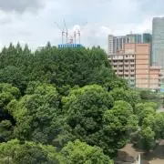M Antiqueの画像