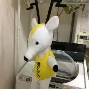 s*j様 バレーボール日本代表　野中瑠衣選手　サイン入りポーチ s*j様 バレーボール日本代表 野中瑠衣選手 サイン入りポーチ - メルカリ
