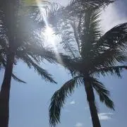 とまん