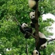ひろの画像