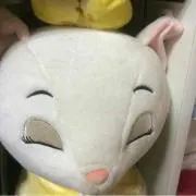 ミキティ