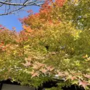 じゅん✨の画像