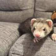 もの画像