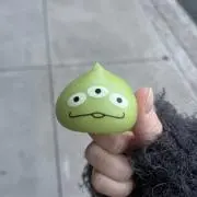 ちびの画像