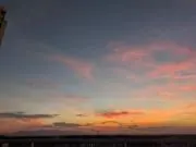 ☆MILO☆匿名配送の画像