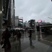 碧