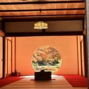 ころんの画像