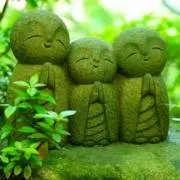 たまの画像