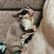 あさき いい事あるプロフ見て✨