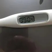 チョゲまるの画像