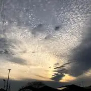ドレッドの画像