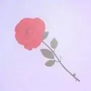 チョコの画像
