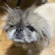 たかさん