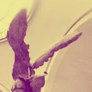 れの画像