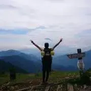 タイガーの画像