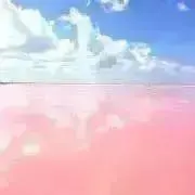 ぴをの画像
