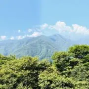 Azuma【即購入OKです】の画像