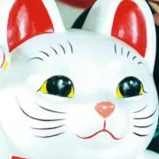 プロフご一読⭐チョコミントの画像