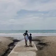 Tatsuの画像