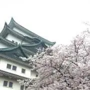 あとらすの画像