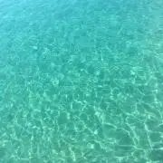 りこぴん*の画像