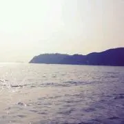 ひこたん★