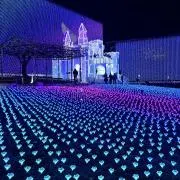 みみ♡の画像