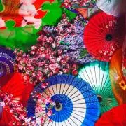 即購入OK！の画像