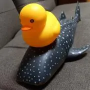 紡の画像