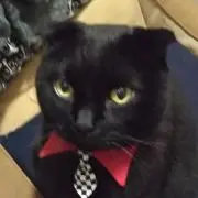 くろこ(ㆁωㆁ)プロフ見てね