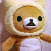 ゆきの画像