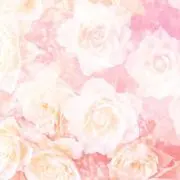 にこ❤︎niko