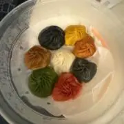 ねこの画像