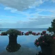 爬虫類用 二部屋構造ウェットシェルター 湿度管理 横長設計 - メルカリ