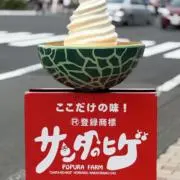 肉野菜炒め