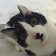 きぃさん