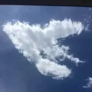 HaNaの画像