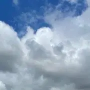 ちんゆ