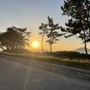 ジェリーの画像
