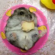 なお