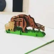 PTの画像
