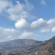 くりんの画像