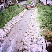 いおioiの画像