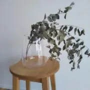 花0122の画像