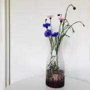 MOONPEARL & MIKIMOTO 保湿クリーム サンプル40枚セット - メルカリ