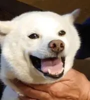 くうたろうの画像