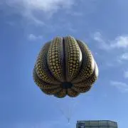 メイプルの画像