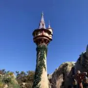 ロッツォ愛好家の画像