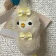 ぽんの画像